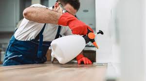 Best Real Estate Pest Inspections  in Leisure Village, NJ